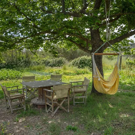 An Authentic Greek House Country house Lefkada City
